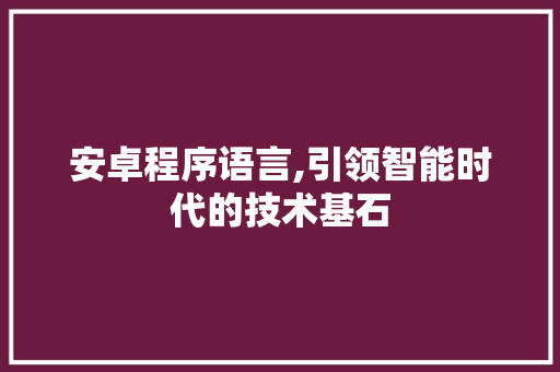 安卓程序语言,引领智能时代的技术基石