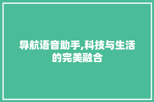 导航语音助手,科技与生活的完美融合