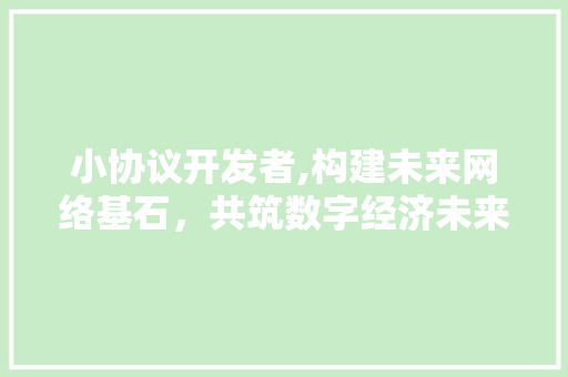 小协议开发者,构建未来网络基石，共筑数字经济未来