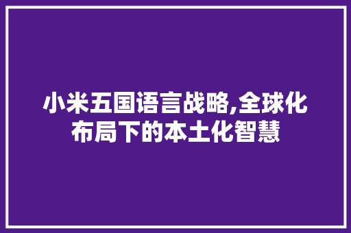 小米五国语言战略,全球化布局下的本土化智慧