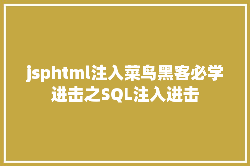 jsphtml注入菜鸟黑客必学进击之SQL注入进击 CSS