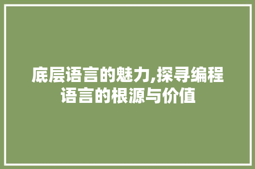 底层语言的魅力,探寻编程语言的根源与价值 JavaScript