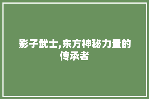 影子武士,东方神秘力量的传承者