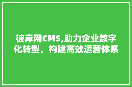 彼岸网CMS,助力企业数字化转型，构建高效运营体系