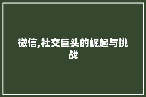 微信,社交巨头的崛起与挑战