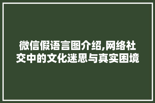 微信假语言图介绍,网络社交中的文化迷思与真实困境 React