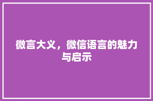 微言大义，微信语言的魅力与启示