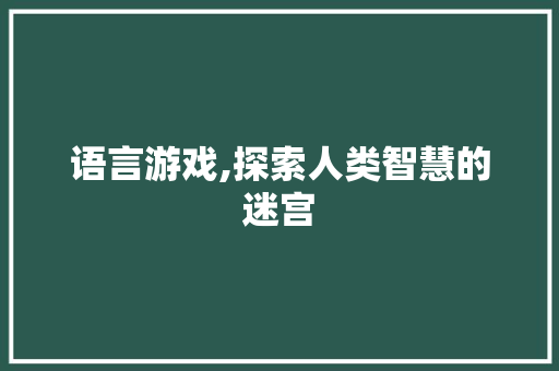 语言游戏,探索人类智慧的迷宫 PHP