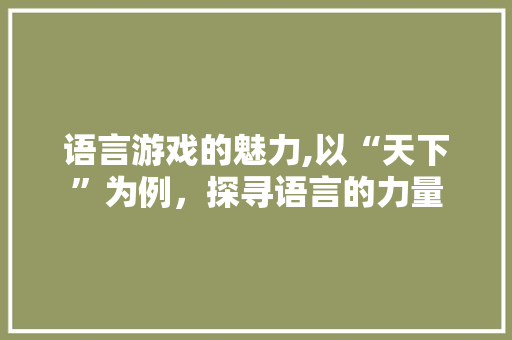 语言游戏的魅力,以“天下”为例，探寻语言的力量