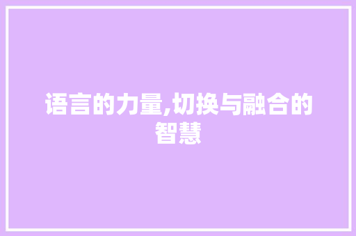 语言的力量,切换与融合的智慧