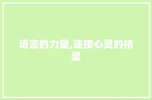 语言的力量,连接心灵的桥梁