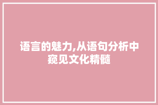 语言的魅力,从语句分析中窥见文化精髓