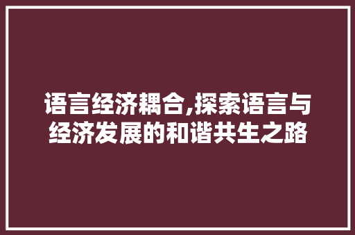 语言经济耦合,探索语言与经济发展的和谐共生之路