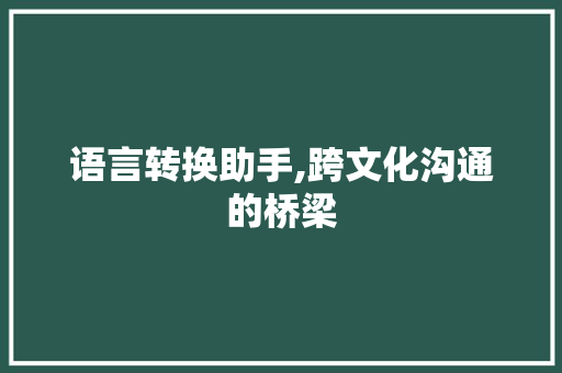 语言转换助手,跨文化沟通的桥梁