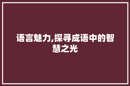 语言魅力,探寻成语中的智慧之光