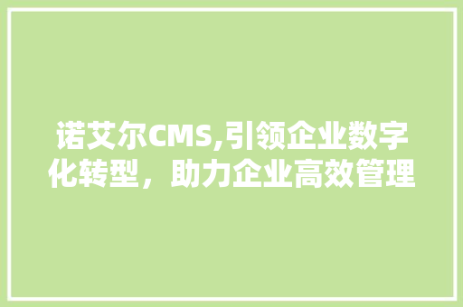 诺艾尔CMS,引领企业数字化转型，助力企业高效管理