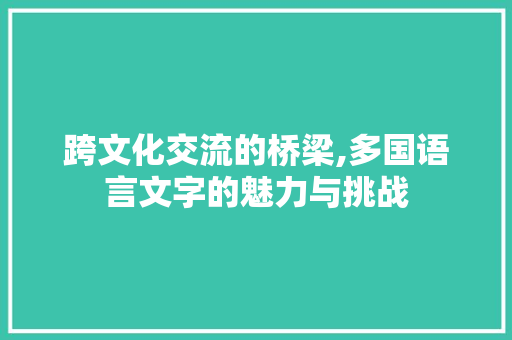 跨文化交流的桥梁,多国语言文字的魅力与挑战