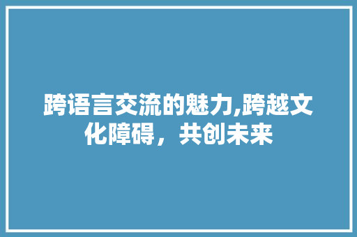 跨语言交流的魅力,跨越文化障碍，共创未来