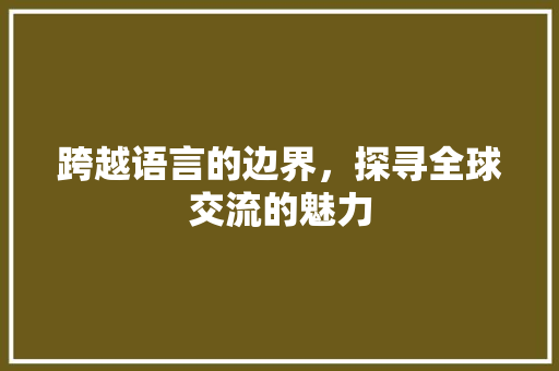 跨越语言的边界，探寻全球交流的魅力