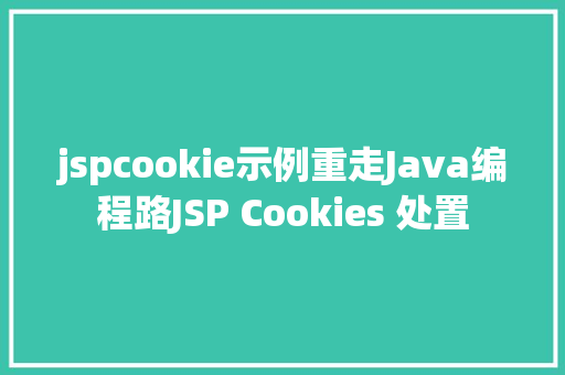 jspcookie示例重走Java编程路JSP Cookies 处置