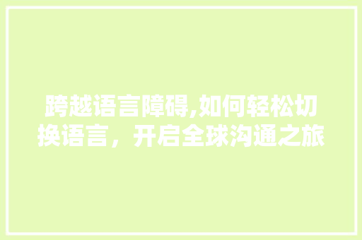 跨越语言障碍,如何轻松切换语言，开启全球沟通之旅