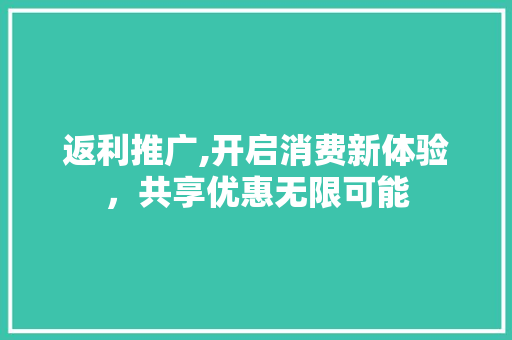 返利推广,开启消费新体验，共享优惠无限可能