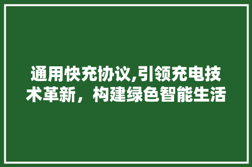 通用快充协议,引领充电技术革新，构建绿色智能生活