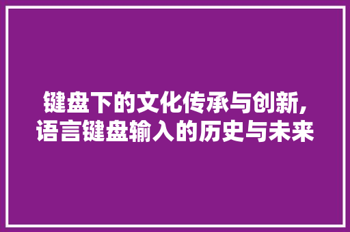 键盘下的文化传承与创新,语言键盘输入的历史与未来