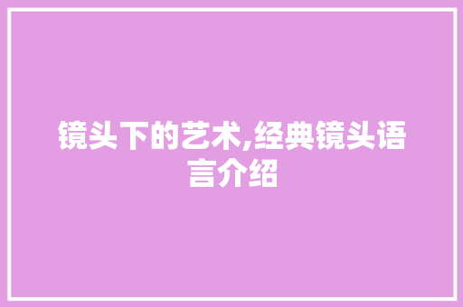 镜头下的艺术,经典镜头语言介绍