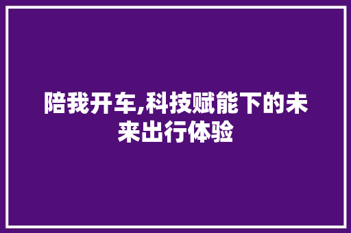 陪我开车,科技赋能下的未来出行体验 React