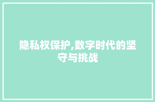 隐私权保护,数字时代的坚守与挑战