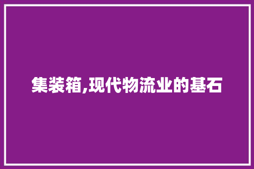 集装箱,现代物流业的基石