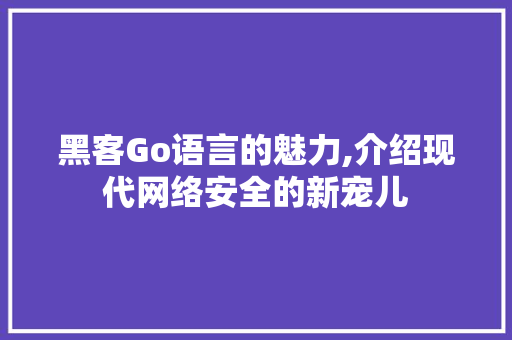 黑客Go语言的魅力,介绍现代网络安全的新宠儿