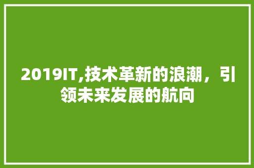 2019IT,技术革新的浪潮，引领未来发展的航向