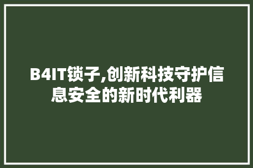 B4IT锁子,创新科技守护信息安全的新时代利器