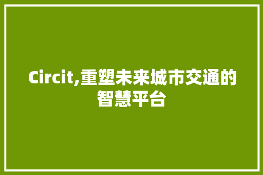 Circit,重塑未来城市交通的智慧平台