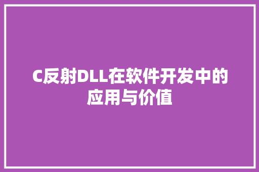 C反射DLL在软件开发中的应用与价值 RESTful API