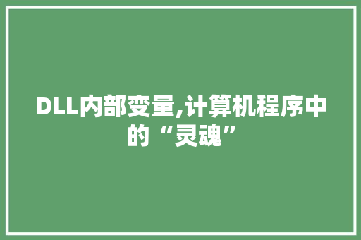 DLL内部变量,计算机程序中的“灵魂”