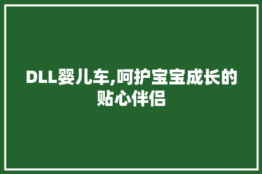 DLL婴儿车,呵护宝宝成长的贴心伴侣 GraphQL