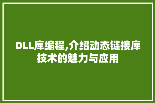 DLL库编程,介绍动态链接库技术的魅力与应用