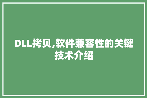 DLL拷贝,软件兼容性的关键技术介绍