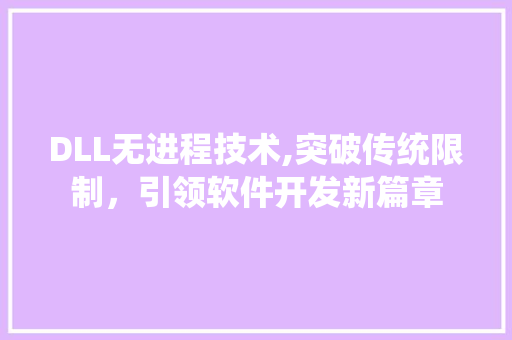 DLL无进程技术,突破传统限制，引领软件开发新篇章 CSS