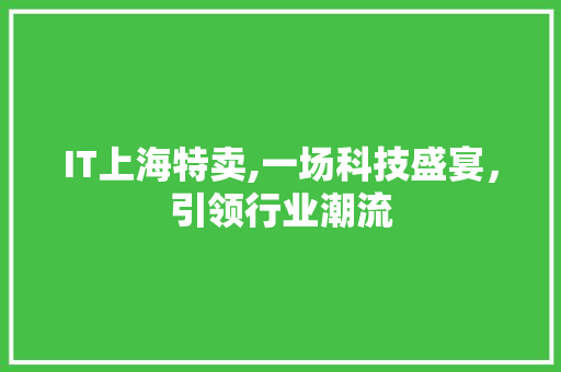 IT上海特卖,一场科技盛宴，引领行业潮流