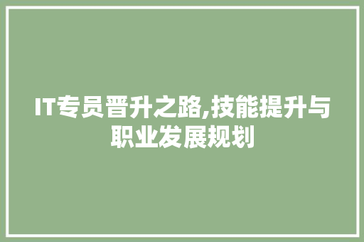 IT专员晋升之路,技能提升与职业发展规划