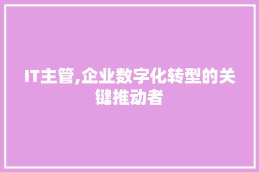 IT主管,企业数字化转型的关键推动者