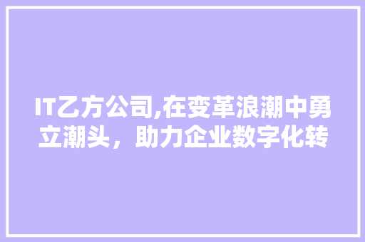 IT乙方公司,在变革浪潮中勇立潮头，助力企业数字化转型