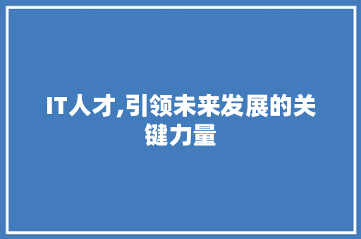 IT人才,引领未来发展的关键力量