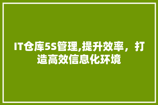 IT仓库5S管理,提升效率，打造高效信息化环境