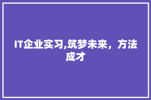 IT企业实习,筑梦未来，方法成才