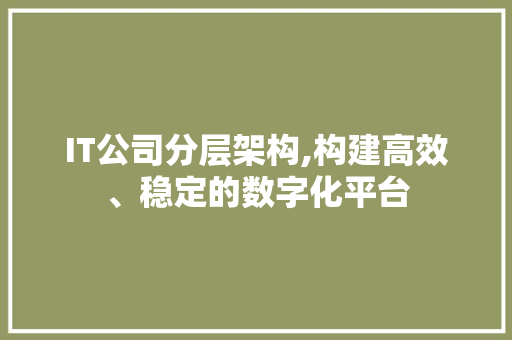 IT公司分层架构,构建高效、稳定的数字化平台